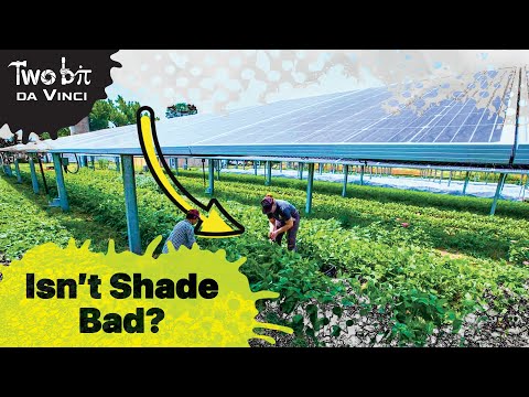 Growing Crops &amp; Solar Panels Shouldn&#039;t Make Sense...