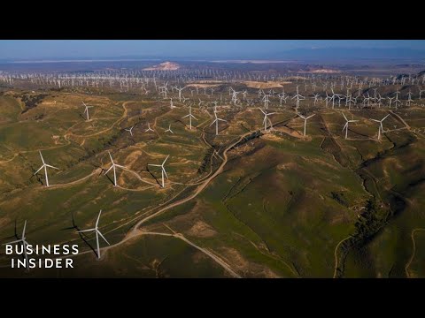 Financial Leaders Discuss The Future Of Sustainability Financing And Investing