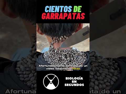 Le quitaron CIENTOS de GARRAPATAS #shorts