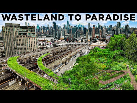 Guerilla Gardeners turn Toxic Soil into Eco-Oasis