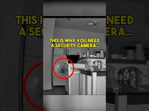 This is Why You Need A Security Camera…