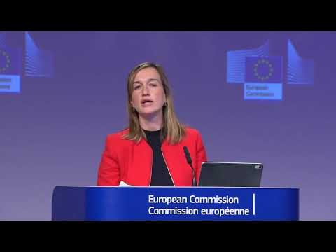 Fraud chief warns of ‘big risk’ in policing €800bn EU recovery funds