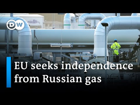 EU unveils plan to reduce Russia energy dependency | DW Business News