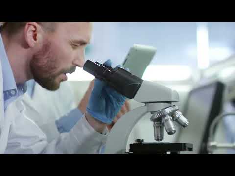 green hydrogen in marine industry