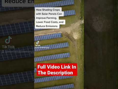 Unlocking Farming Efficiency with Solar Power - Shocking Results Revealed!