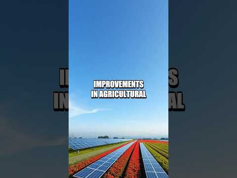 The Future of AI-Driven Agrivoltaics