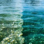 The Hidden Colors of Water: Understanding Your Green, Blue, and Grey Footprint